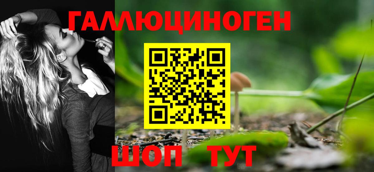 Рыбинск  Псилоцибиновые грибы ЛСД  Вход с VPN 
